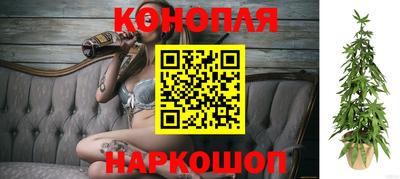 прущие грибы Заводоуковск