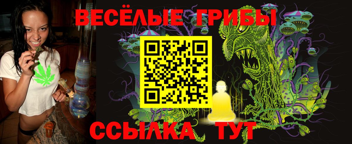 Псилоцибиновые грибы мухоморы  Вход с VPN  где купить наркоту  Магнитогорск  Галлюциногенные грибы мицелий 